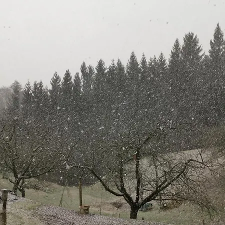 Grabenhansl Stubenberg