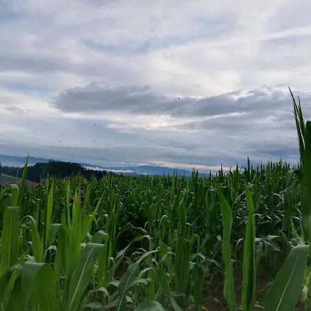Holiday home Grabenhansl Stubenberg