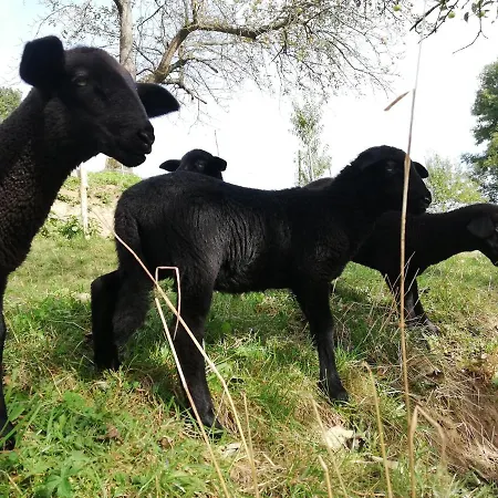 Casa vacanze Grabenhansl