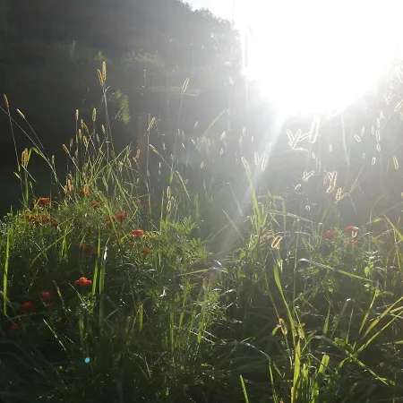 Nyaraló Grabenhansl