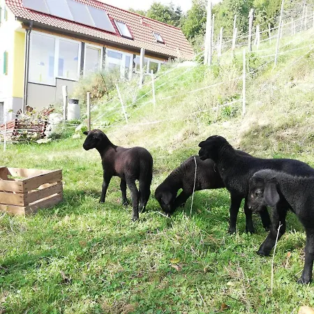 Ferienhaus Grabenhansl
