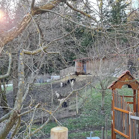 Holiday home Grabenhansl Stubenberg