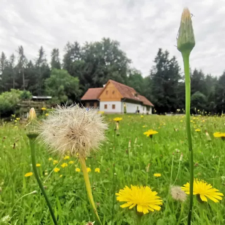 Holiday home Grabenhansl Stubenberg