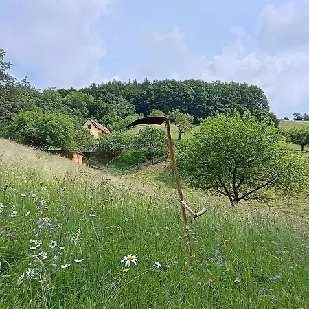 Grabenhansl 度假居