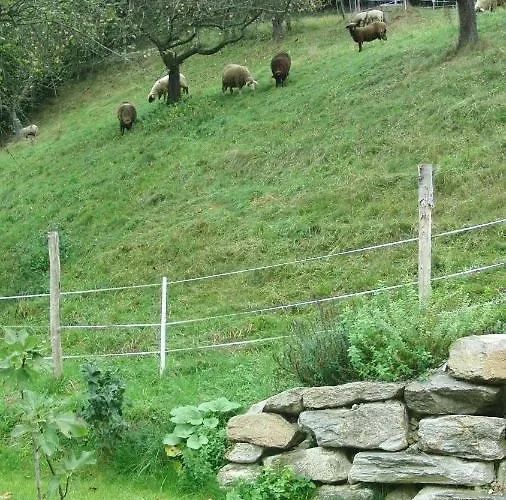 Grabenhansl * Stubenberg
