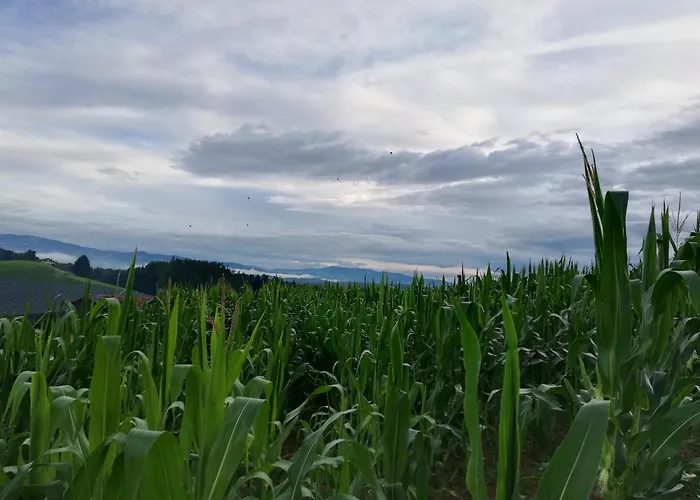 Ferienhaus Grabenhansl Stubenberg