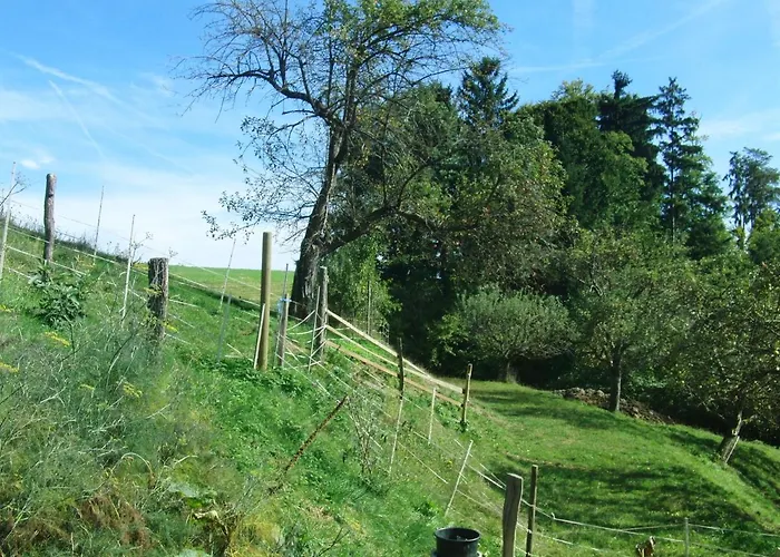 Grabenhansl Holiday home