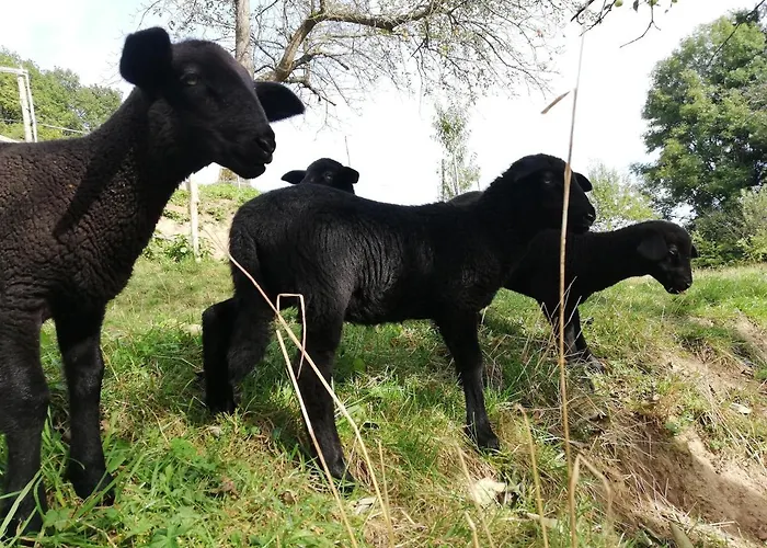 Ferienhaus Grabenhansl