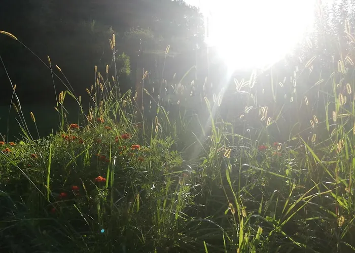 Holiday home Grabenhansl