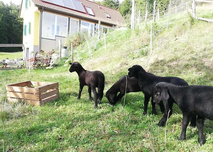 Holiday home Grabenhansl