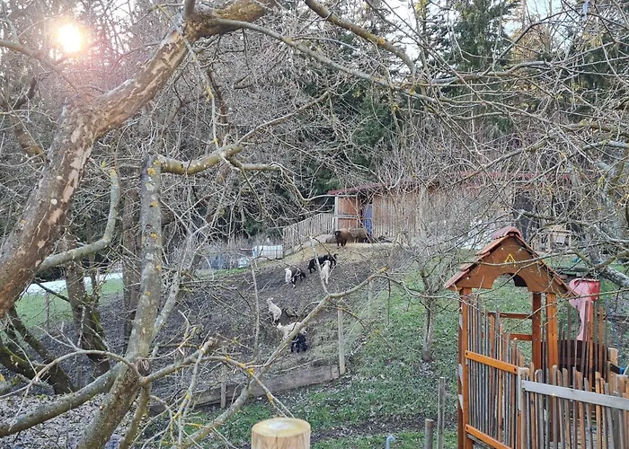 Ferienhaus Grabenhansl Stubenberg