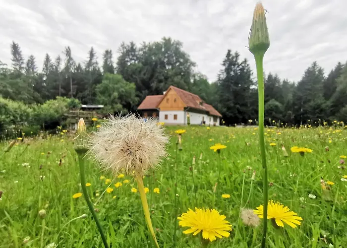 Holiday home Grabenhansl Stubenberg