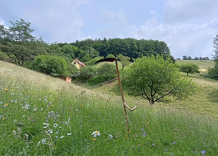 Grabenhansl Holiday home