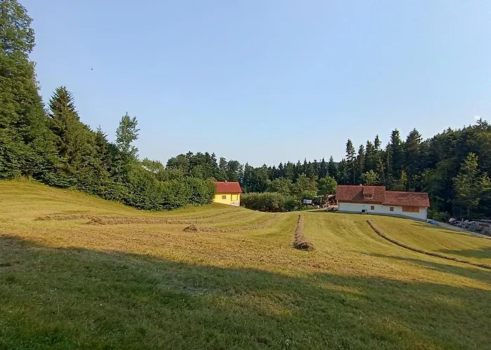 Grabenhansl Ferienhaus Stubenberg
