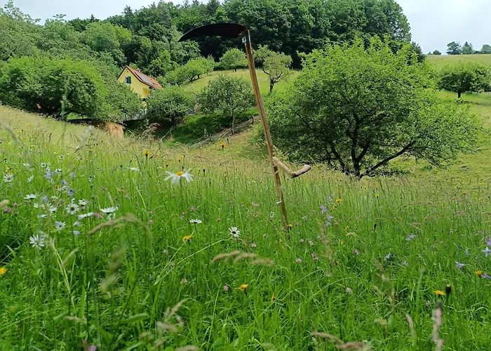 Holiday home Grabenhansl